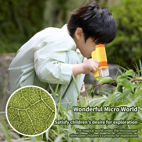 Microscope With LED Lights